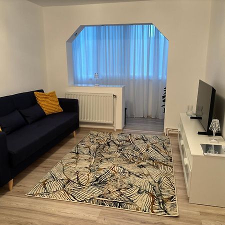 Apartament 2 Cam Cetate ألبا يوليا المظهر الخارجي الصورة